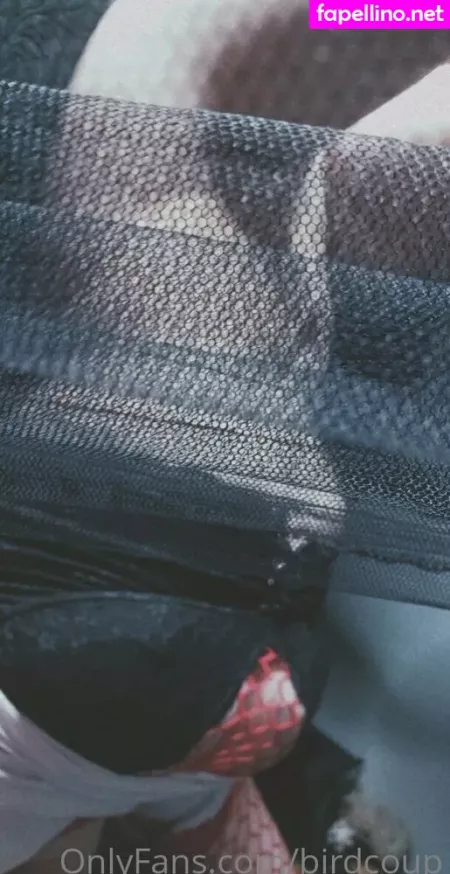 Birdcoup OnlyFans Thumbnail #ciOF5bfYuV