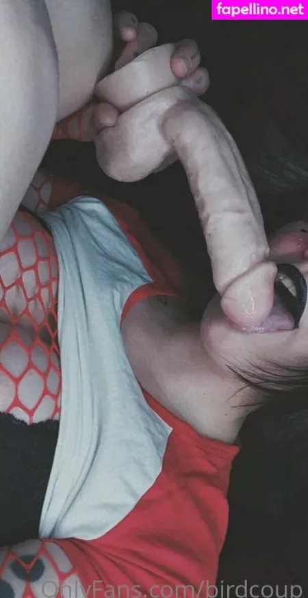 Birdcoup OnlyFans Thumbnail #kEiByTy5Xp