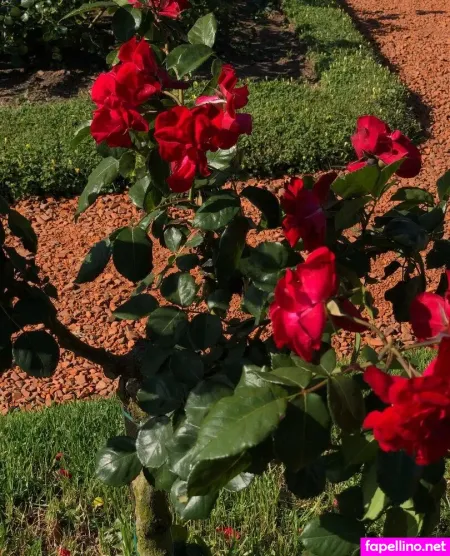 Blairsgallery OnlyFans Thumbnail #A3a9Ynnj96