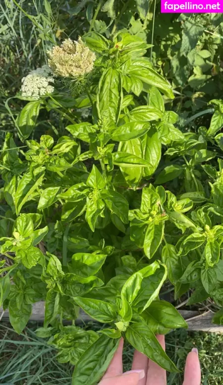 Blondedouce OnlyFans Thumbnail #6s1oyKtHYp