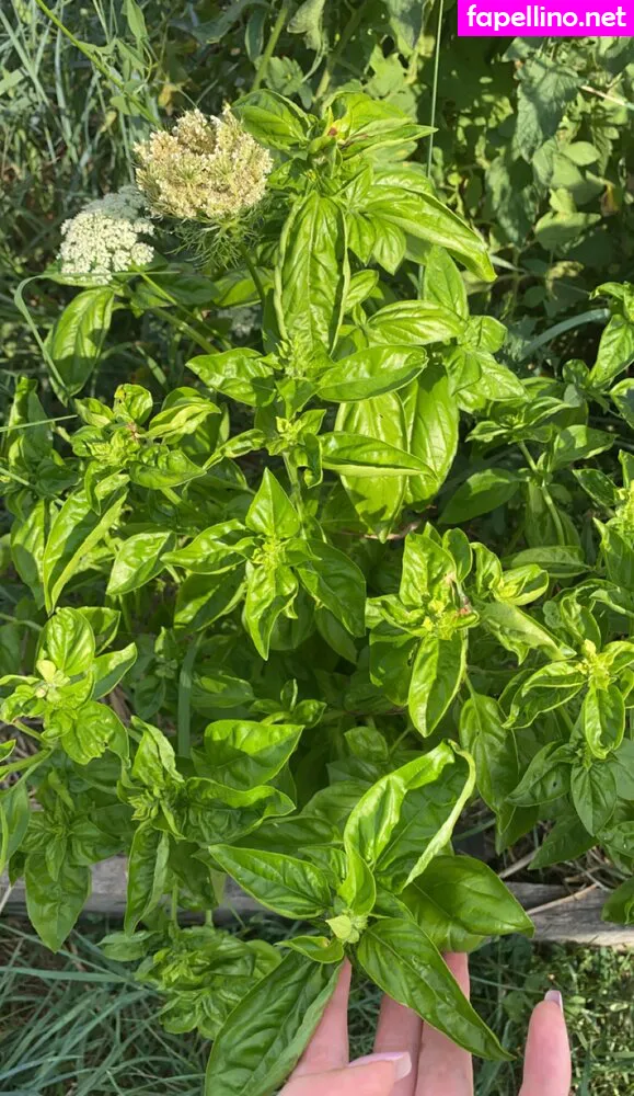 Blonde Douce, Blondedouce20 Nude Leaked OnlyFans Photo #6s1oyKtHYp