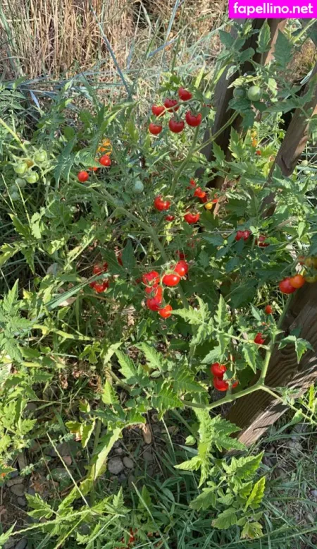 Blondedouce OnlyFans Thumbnail #YiNeNy1PYS