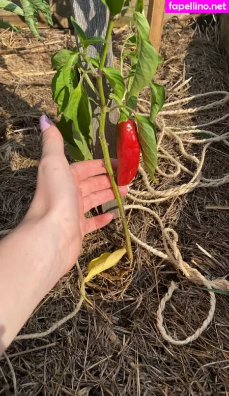 Blondedouce OnlyFans Thumbnail #v8dhL8s0VD