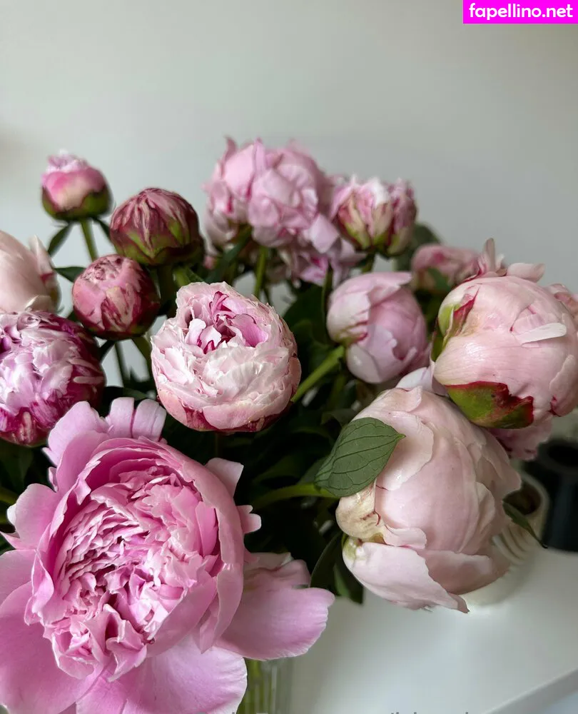 Mary, bloodymaryy, mary_bedford, sweet_bloody_marry Nude Leaked OnlyFans Photo #MY5Tp5ZAMk