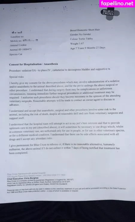 Bluelah3 OnlyFans Thumbnail #h4j0QmvuPF