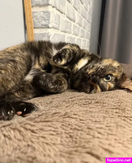 Blumshy OnlyFans Thumbnail #B161C6wh6Q