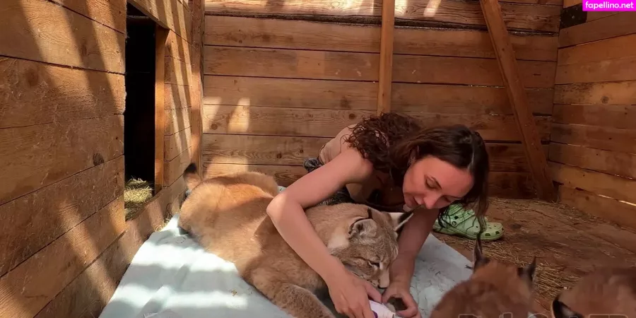 Bobcat OnlyFans Thumbnail #DnkMIEr1qP