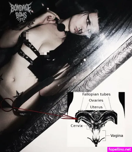 Bondagebows OnlyFans Thumbnail #drJzkaK3ED