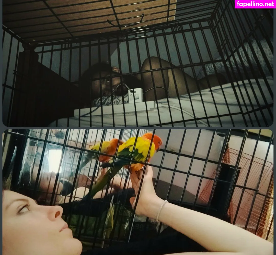 boundbyflames Nude Leaked OnlyFans Photo #9UgoKysgLt