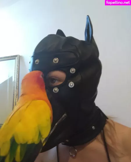 Boundbyflames OnlyFans Thumbnail #QKbYmk2Rvt