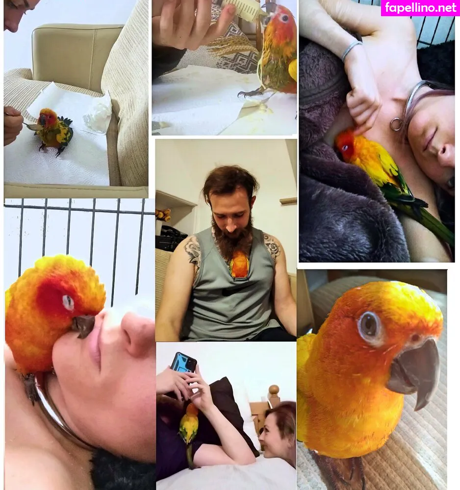 boundbyflames Nude Leaked OnlyFans Photo #YM2kTgz54M