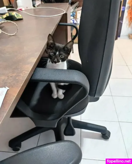 Braziliangirlfree OnlyFans Thumbnail #hz0Tir2Z1W