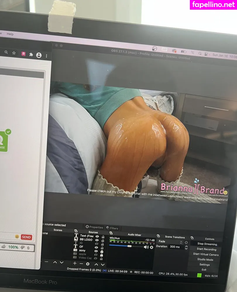 briannabrand Nude Leaked OnlyFans Photo #ei3Y2QZVAb