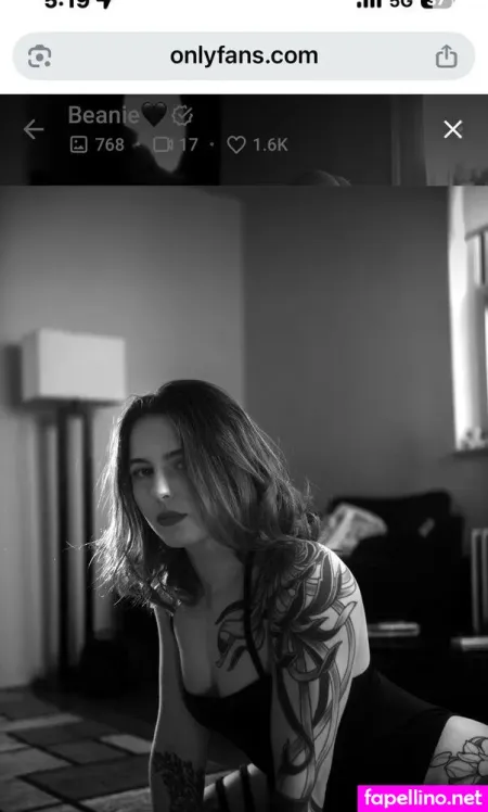 Bridgebeans Main Profile Photo