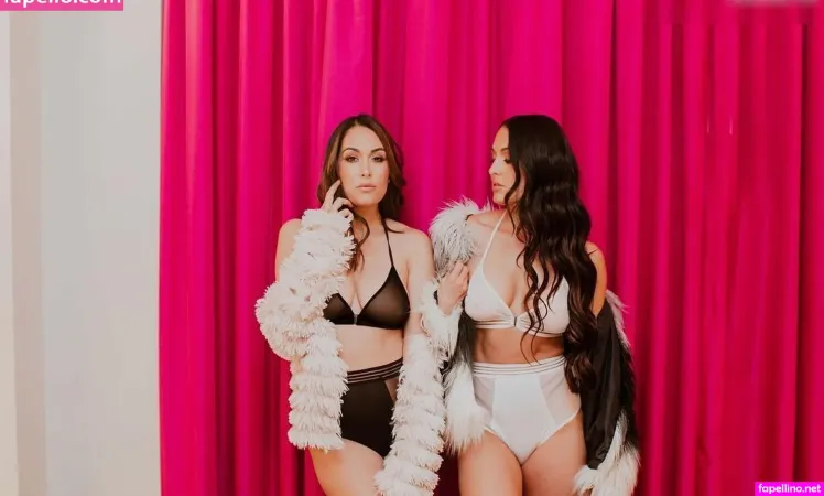 Brie Bella OnlyFans Thumbnail #B3kxDAlZ5H