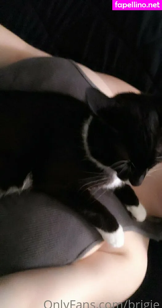 Brigitteulla, brigie Nude Leaked OnlyFans Photo #QIw1QZgm40
