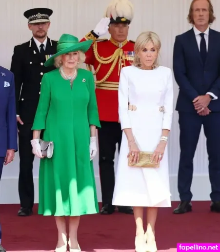 Brigitte Macron OnlyFans Thumbnail #UZN9NefMPz