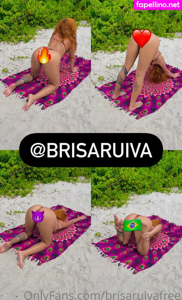 brisaruiva2, brisaruivafree Nude Leaked OnlyFans Photo #mT3siPzrT3
