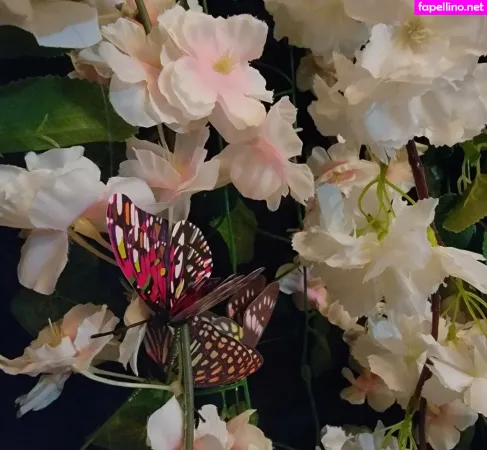 Brittanysimon OnlyFans Thumbnail #MHBpdJqV0N