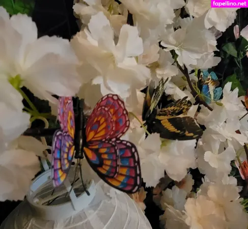 Brittanysimon OnlyFans Thumbnail #vBmdjJjQLz