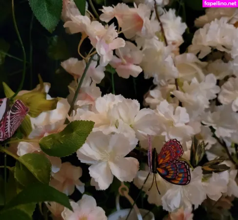 Brittanysimon OnlyFans Thumbnail #y36yv1yfbN