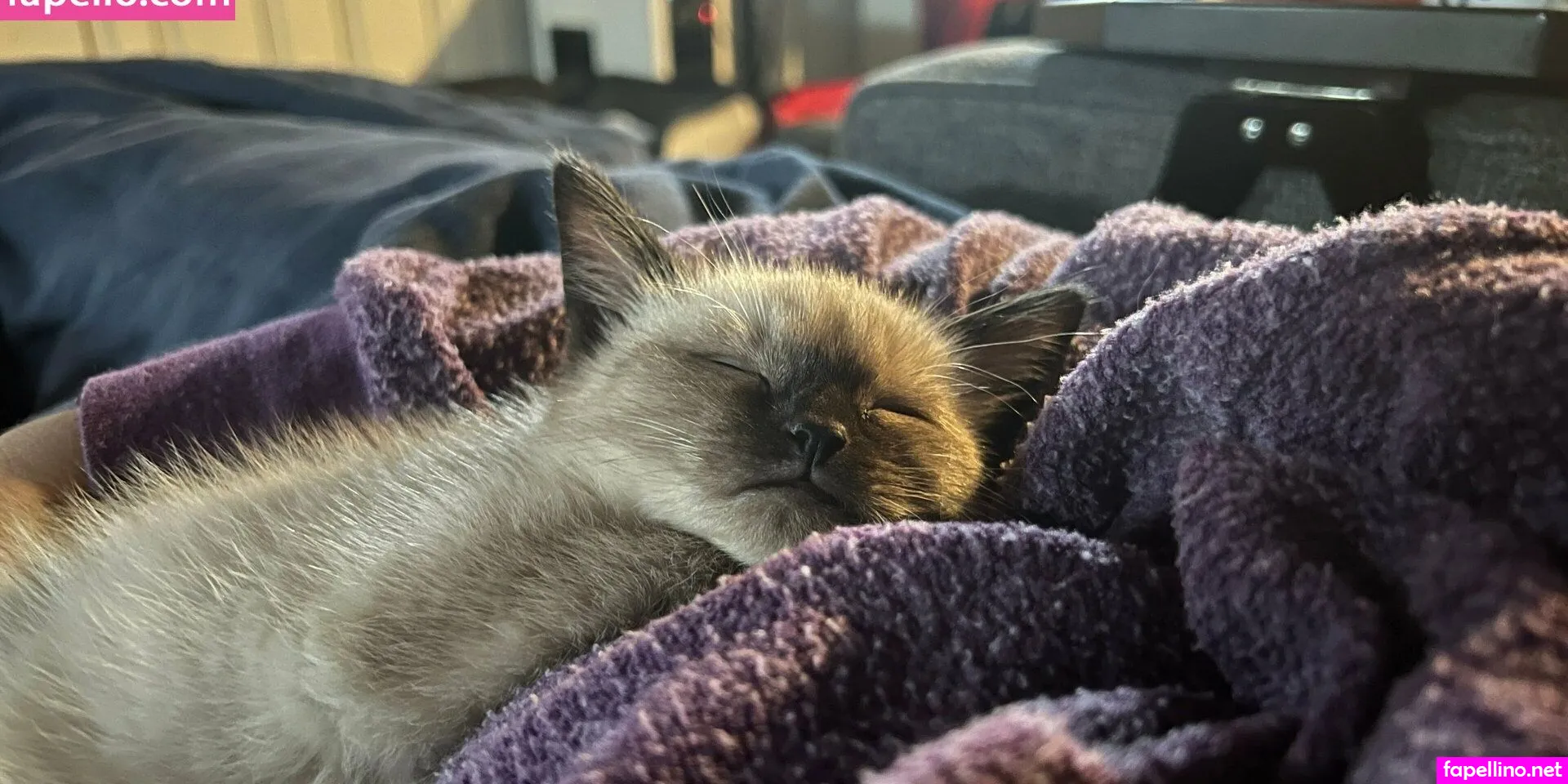 brittsbadside Nude Leaked OnlyFans Photo #AOJ0q2y2KZ