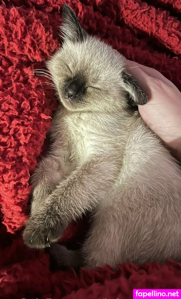 brittsbadside Nude Leaked OnlyFans Photo #RXaVAdmcUc