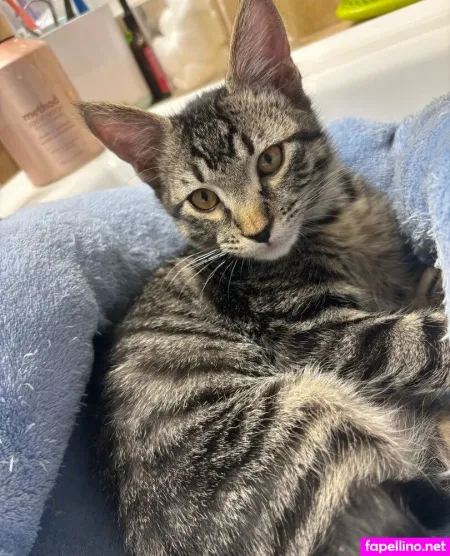 Brocc Eli OnlyFans Thumbnail #niQ8YtyQId