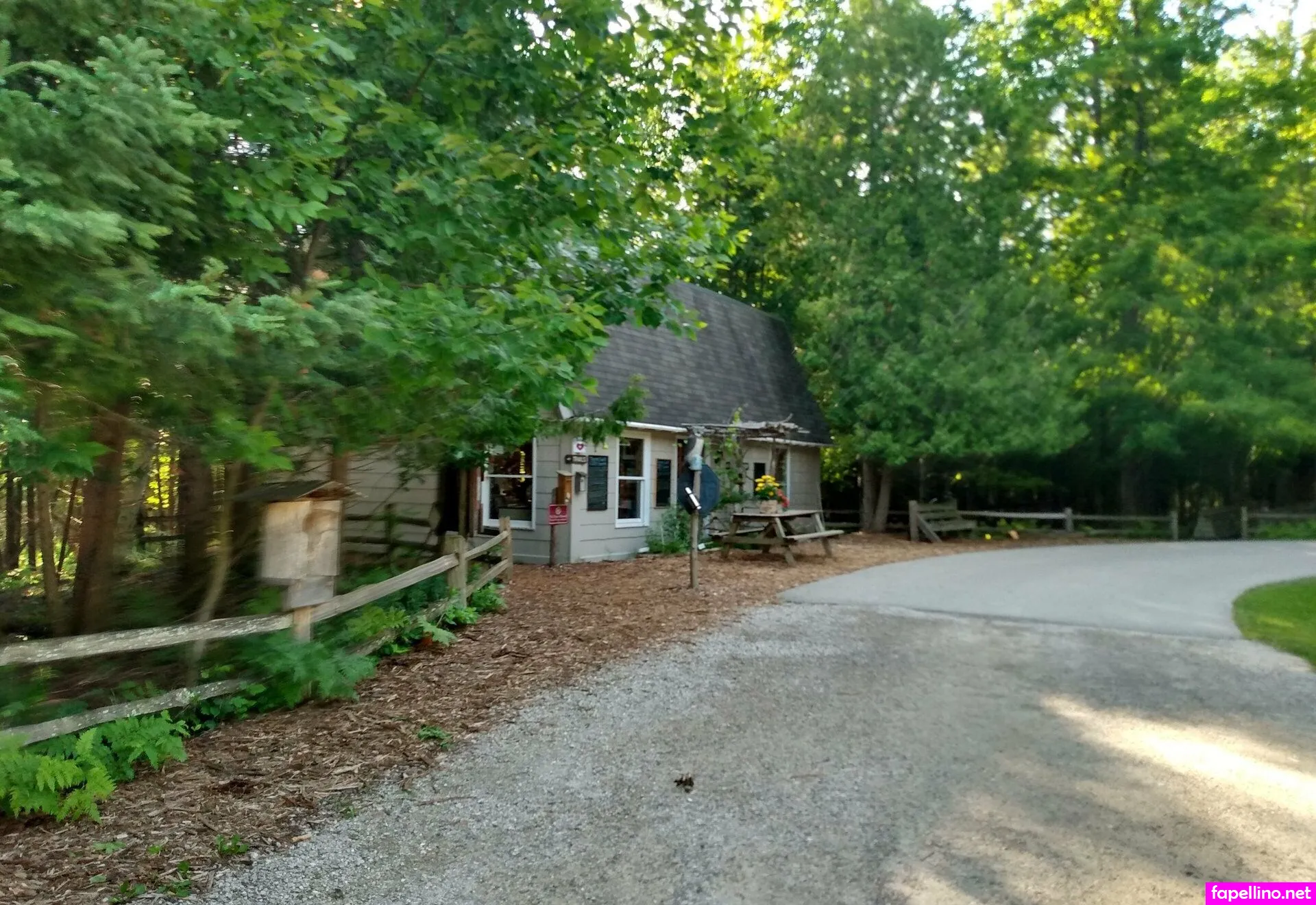 broesly88 Nude Leaked OnlyFans Photo #CICvoT95h7