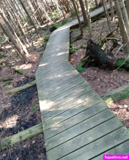 Broesly88 OnlyFans Thumbnail #OJSMexxBiX