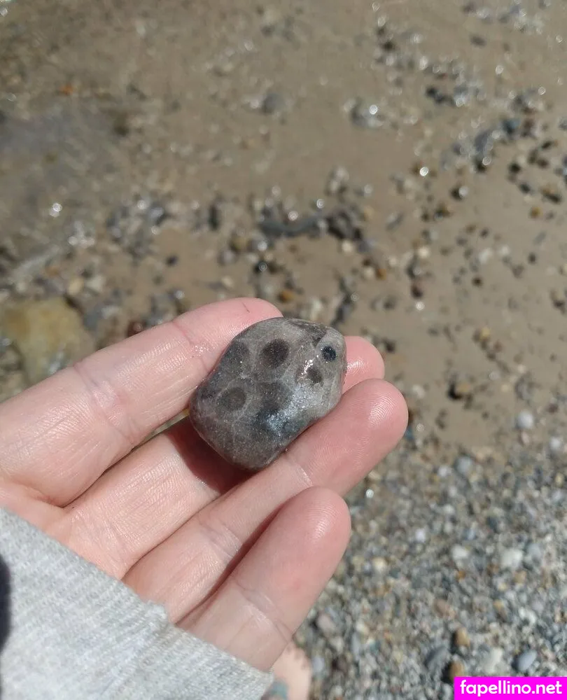 broesly88 Nude Leaked OnlyFans Photo #WiSwWiA9OE