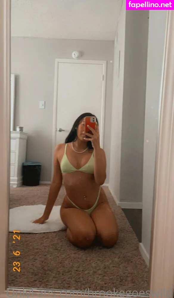 brookeashwheeler, brookegoeswild Nude Leaked OnlyFans Photo #0TJNV5K6zf