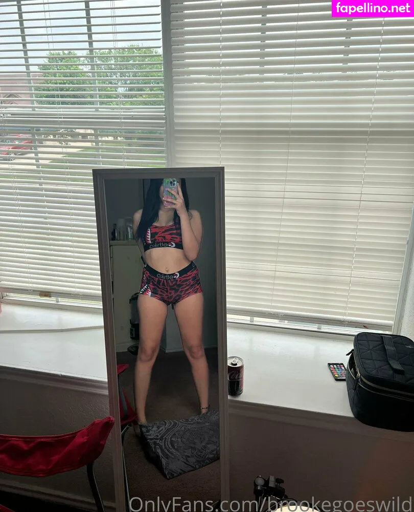 brookeashwheeler, brookegoeswild Nude Leaked OnlyFans Photo #jHmte6xMe0