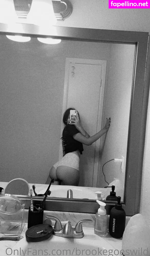 brookeashwheeler, brookegoeswild Nude Leaked OnlyFans Photo #jsSdjx1cqq
