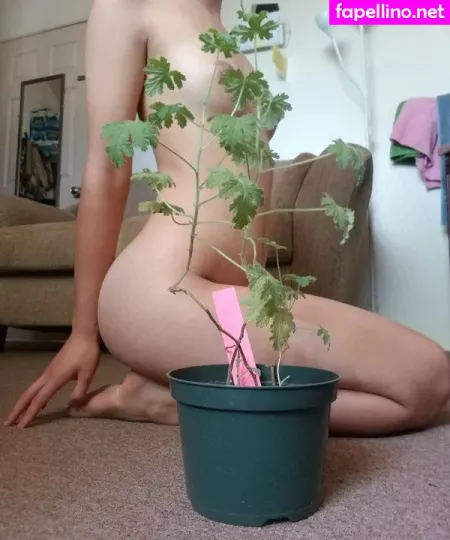 Buddingroselia OnlyFans Thumbnail #1qbNNdtaoV