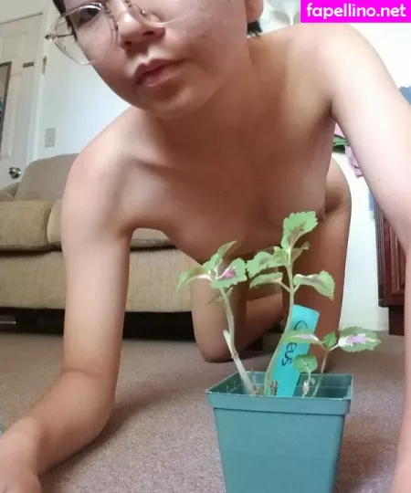 Buddingroselia OnlyFans Thumbnail #s2gEpWaVmj