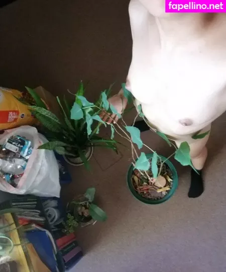 Buddingroselia OnlyFans Thumbnail #xulsfMnmZx