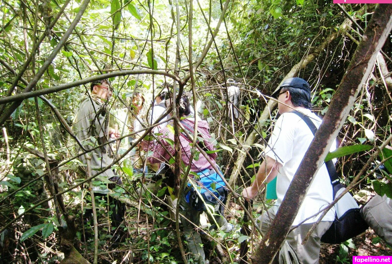 Bukit Brown Nude Leaked OnlyFans Photo #8R5mPpj2Dy