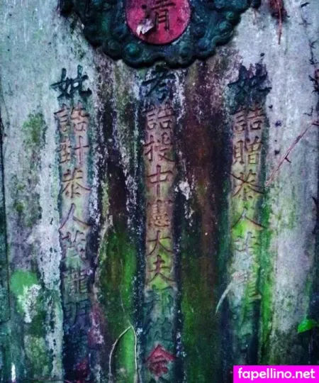 Bukit Brown OnlyFans Thumbnail #TclesGN8Kw