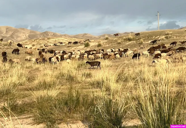 Bulletvalentina OnlyFans Thumbnail #nadmkKLebT