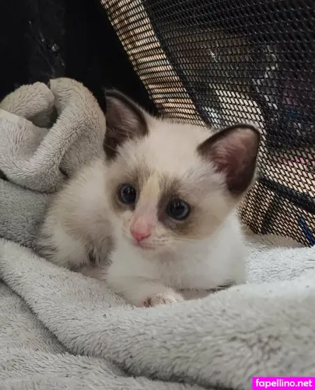 Bumblebieve OnlyFans Thumbnail #YWYOgZJKpX