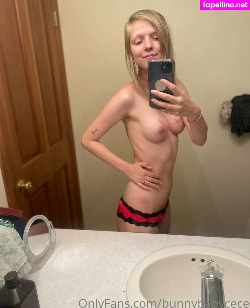 bunnybabycece, cerxcer Nude Leaked OnlyFans Photo #ONya3ZIL77
