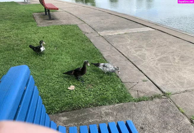 Bunnycocoa OnlyFans Thumbnail #0iavDKvGNx