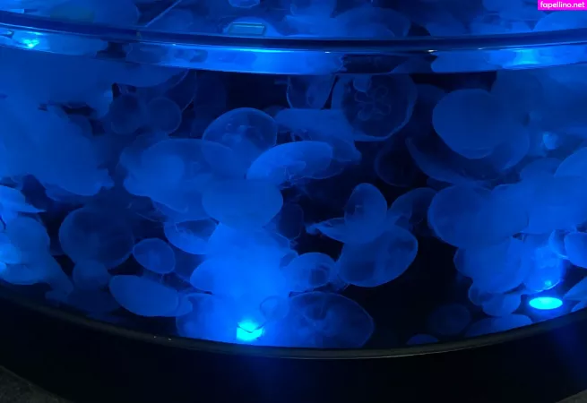 Bunnycocoa OnlyFans Thumbnail #14FrDCOZta