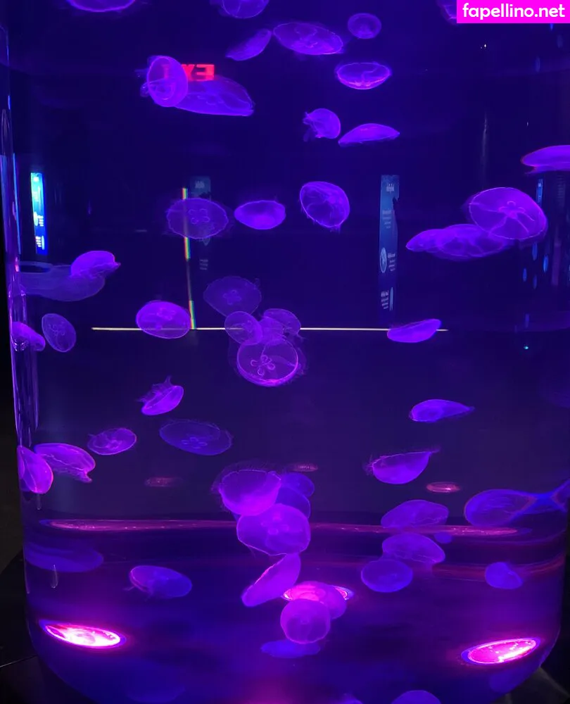 bunnycocoa, missbunnycocoa Nude Leaked OnlyFans Photo #IpH9WzzGA8