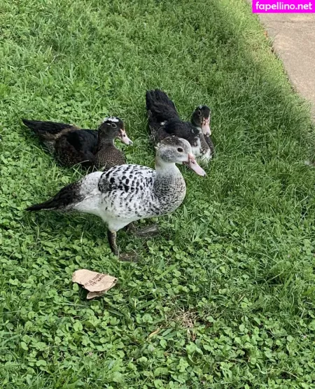 Bunnycocoa OnlyFans Thumbnail #N86n59BYSp