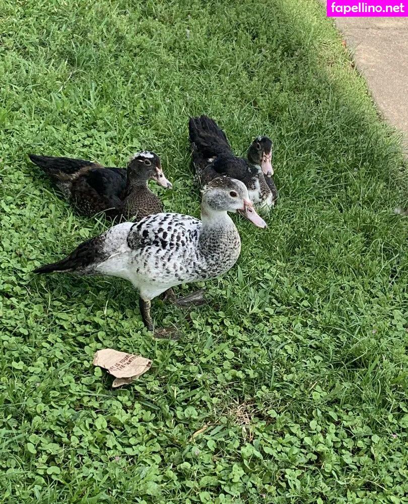 bunnycocoa, missbunnycocoa Nude Leaked OnlyFans Photo #N86n59BYSp