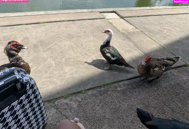 Bunnycocoa OnlyFans Thumbnail #lnNh2pwu8H