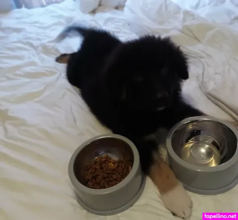 Bunnydathug Free OnlyFans Thumbnail #J52M0zCrL2