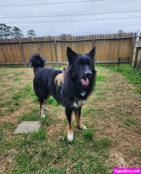 Bunnydathug Free OnlyFans Thumbnail #aFGAtdGsgW